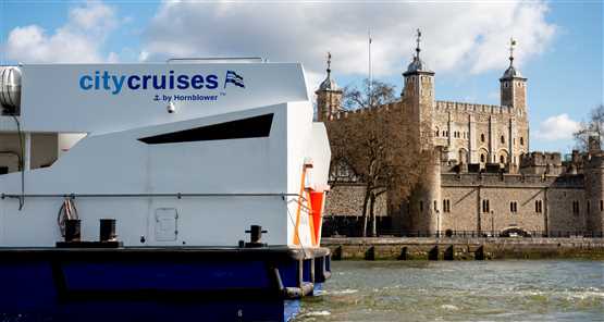 24hr Hop-on, Hop-off Sightseeing Thames River Cruise