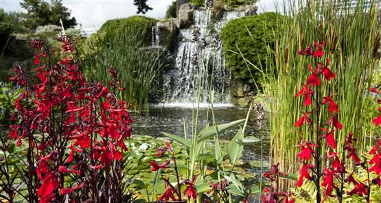 Exploring the Breathtaking Beauty of Kew Gardens