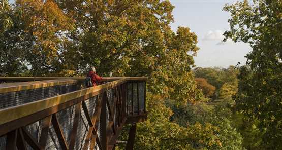 Exploring the Breathtaking Beauty of Kew Gardens