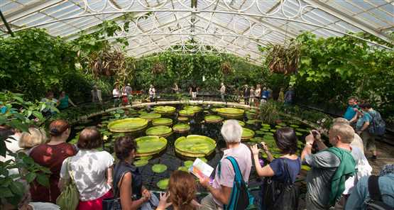 Exploring the Breathtaking Beauty of Kew Gardens