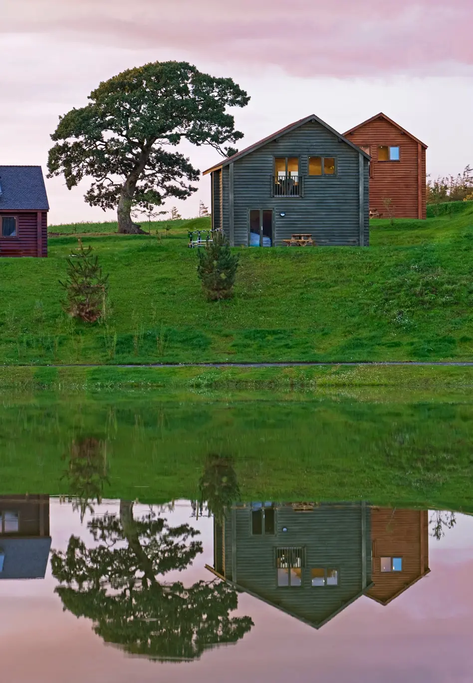 Overlooking the lake