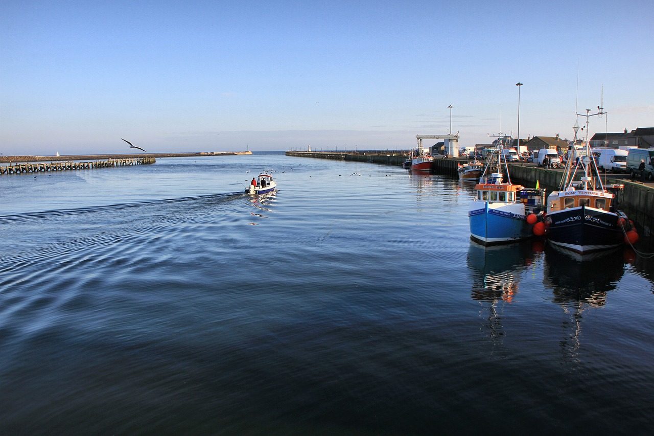 Amble Harbour