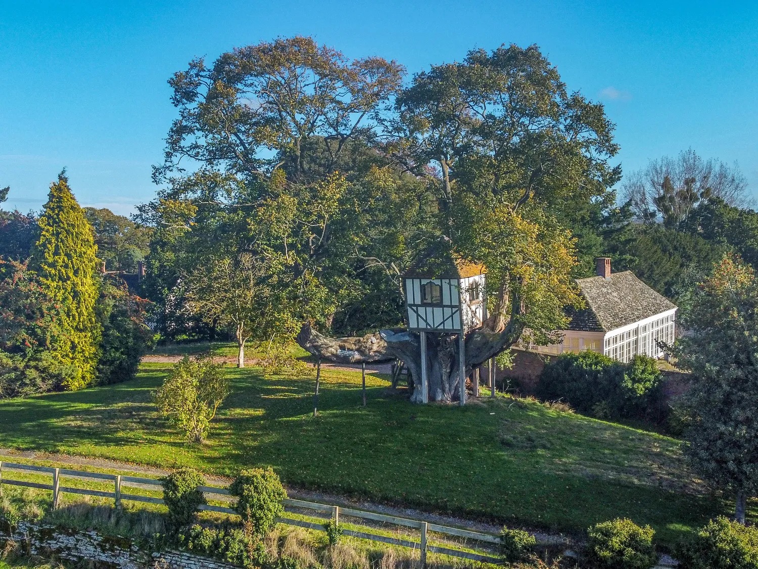 Treehouse nestled in large tree on spacious green lawn with surrounding trees and a house in the background.