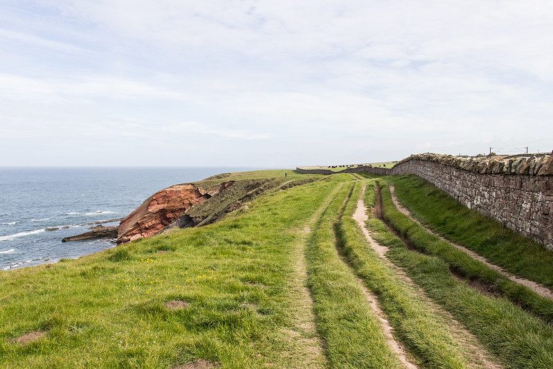 Northumberland Coast Path